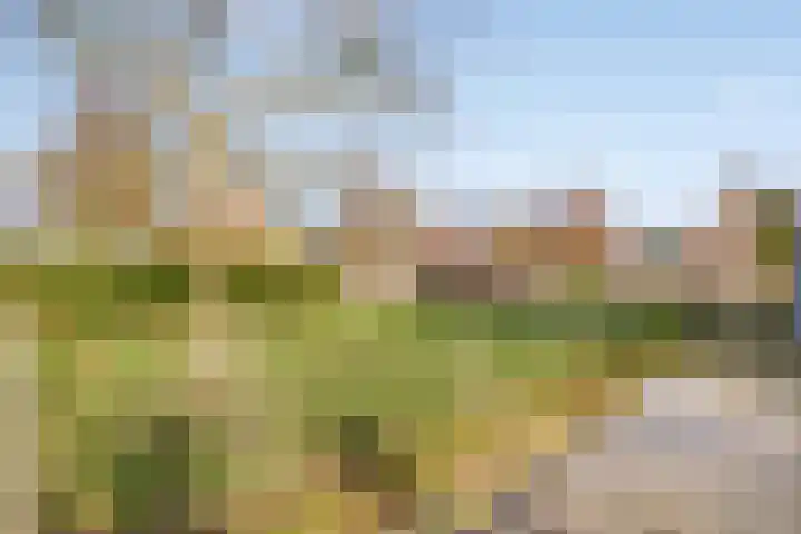 Westdijk 7 Heinkenszand thumbnail 7