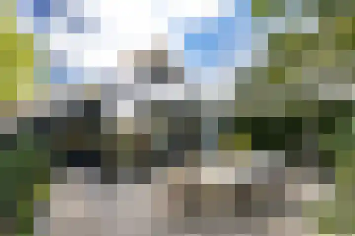 Westdijk 7 Hellevoetsluis thumbnail 6