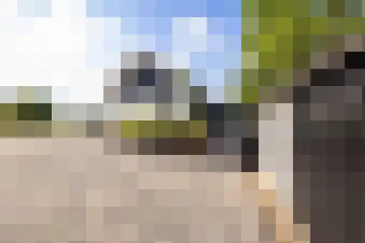 Westdijk 7 Hellevoetsluis thumbnail 64