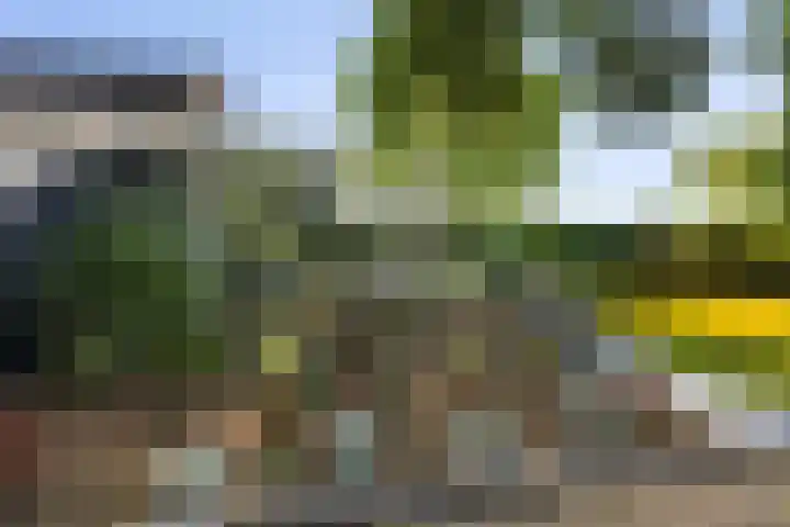 Westdijk 7 Hellevoetsluis thumbnail 75