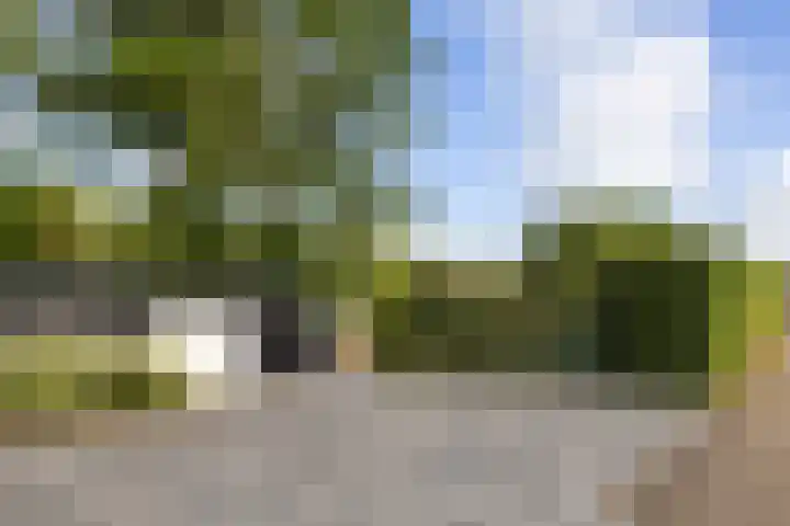 Westdijk 7 Hellevoetsluis thumbnail 82