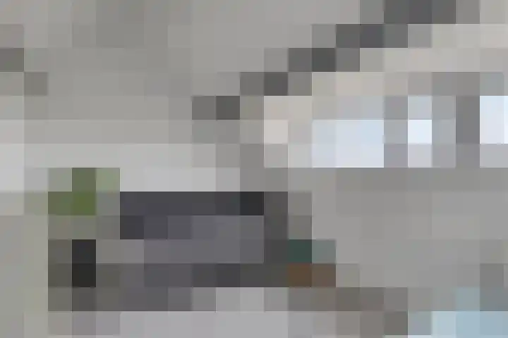 Westdijk 8 Goudswaard thumbnail 14