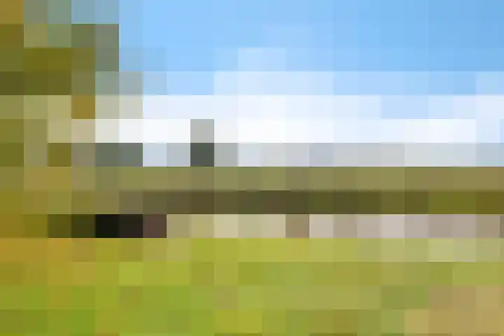 Westdorperstraat 19 Borger foto 2