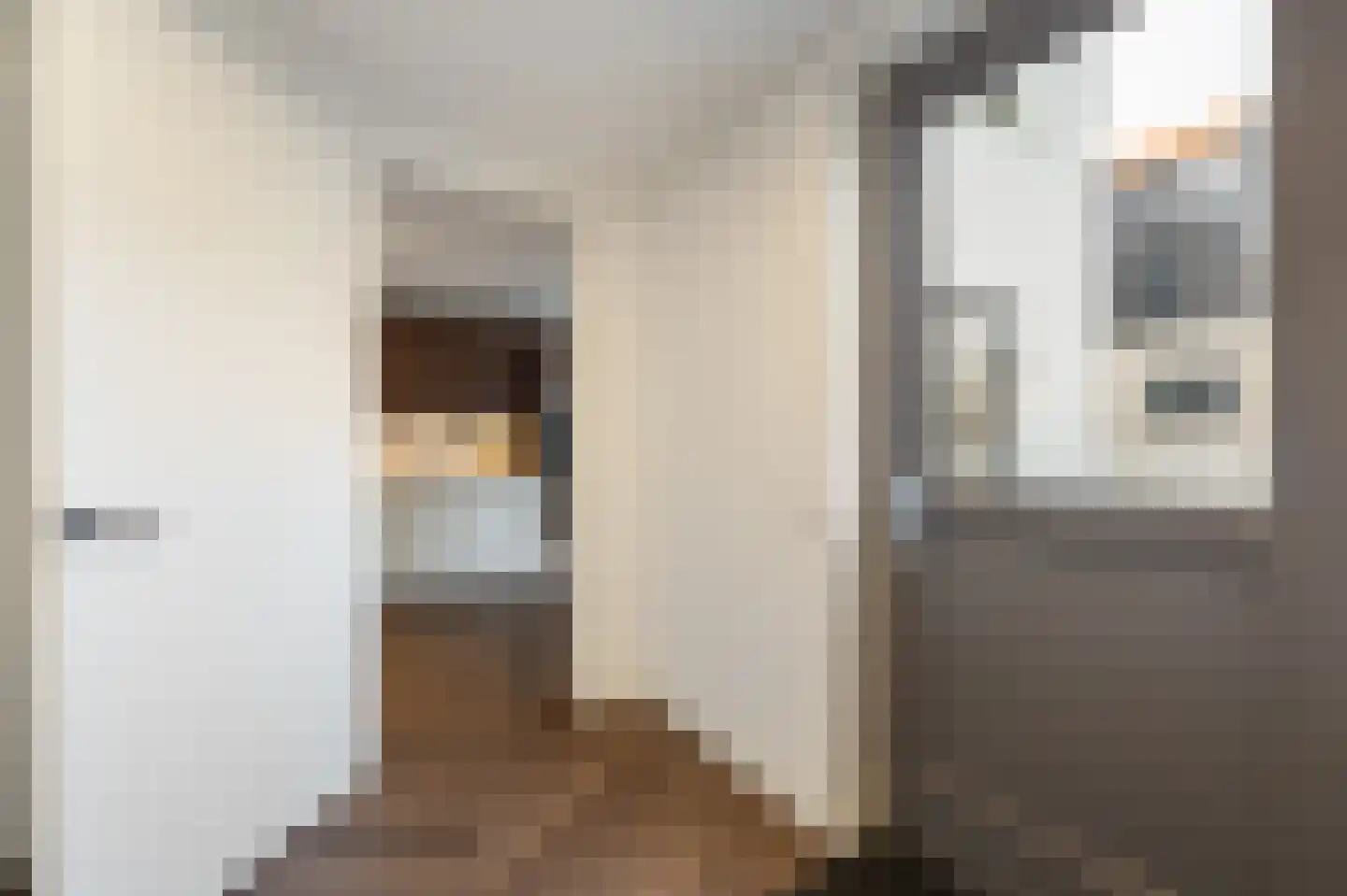 Westdorperstraat 19 Borger thumbnail 25