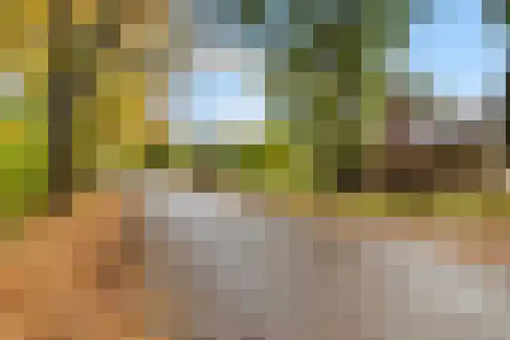 Westdorperstraat 19 Borger thumbnail 7