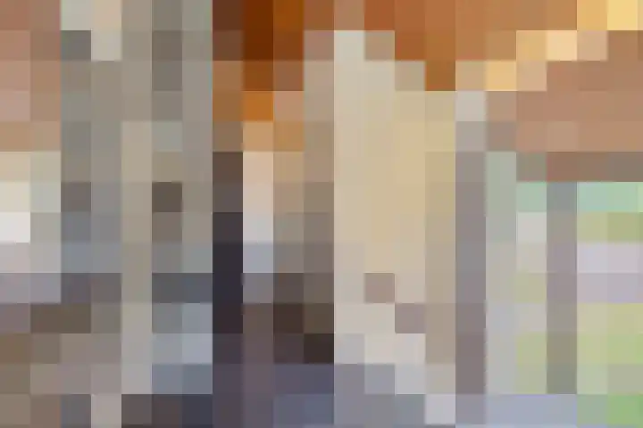 Westdorperstraat 19 Borger thumbnail 9