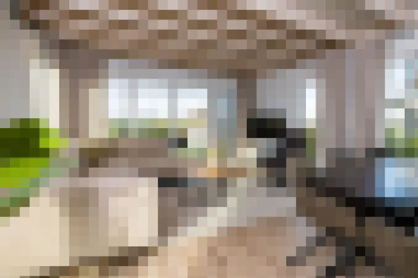 Westdorperstraat 37 302 Schoonloo thumbnail 10