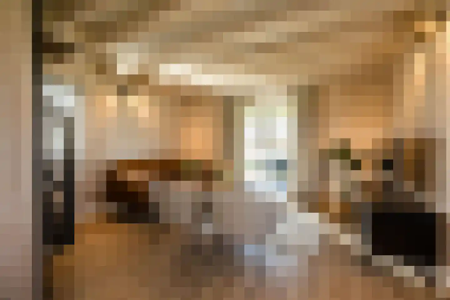 Westdorperstraat 37 303 Schoonloo thumbnail 11