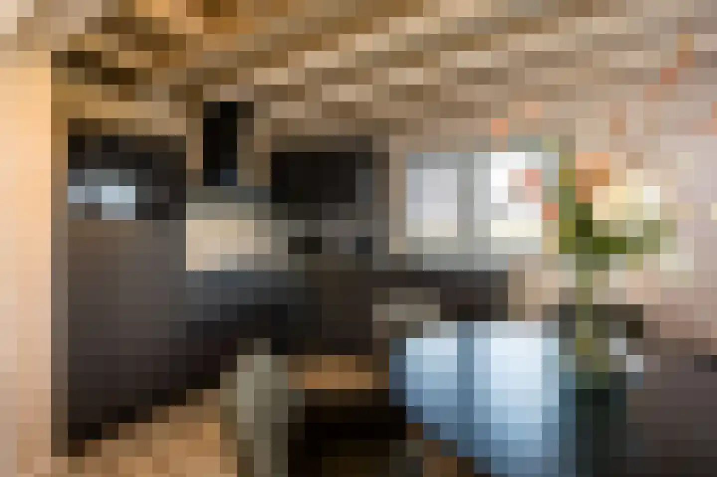 Westdorperstraat 37 303 Schoonloo thumbnail 15