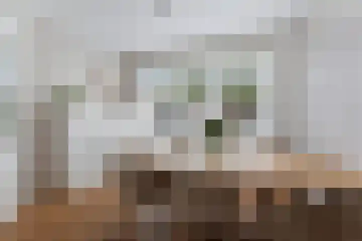 Westeind 50 Papendrecht thumbnail 19