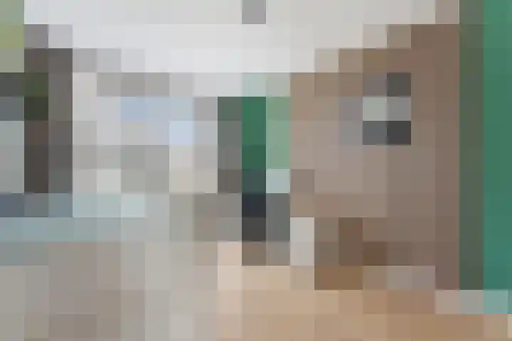 Westeind 50 Papendrecht thumbnail 27