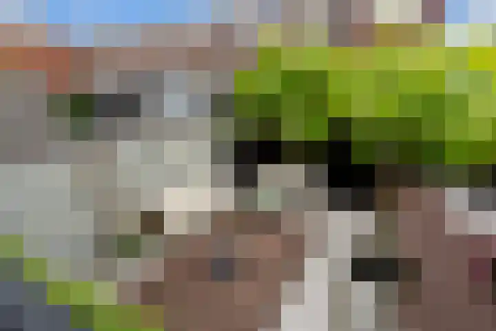 Westeind 50 Papendrecht thumbnail 48