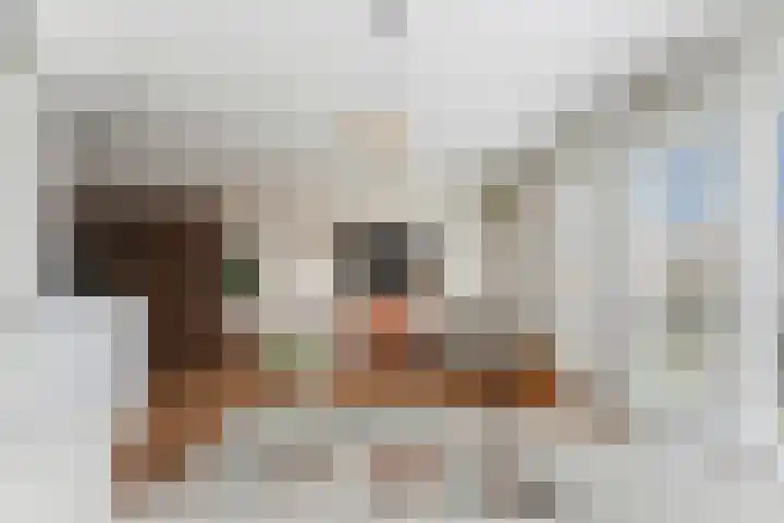 Westeind 50 Papendrecht thumbnail 5