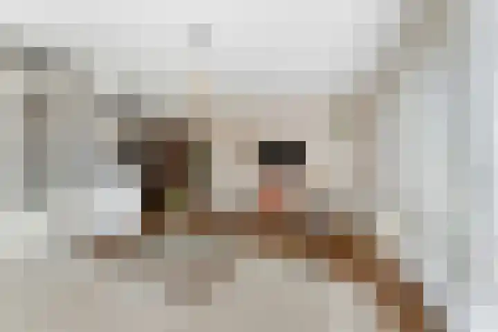 Westeind 50 Papendrecht thumbnail 7