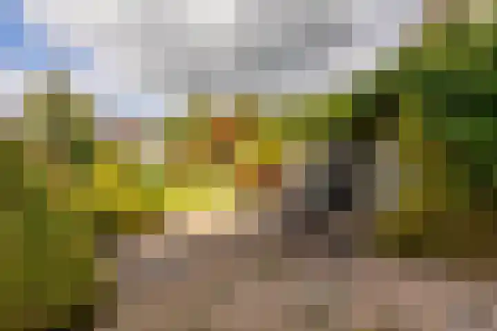 Westeinde 137 Moordrecht thumbnail 42