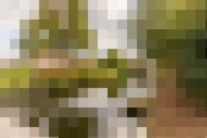 Westeinde 137 Moordrecht thumbnail 44