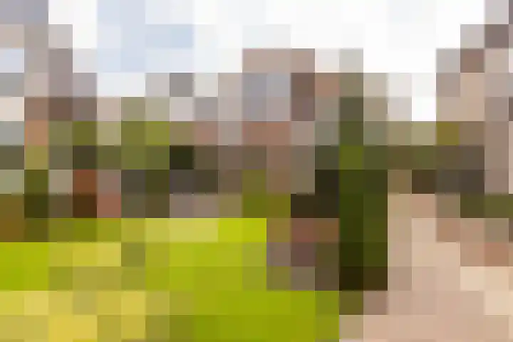 Westeinde 137 Moordrecht thumbnail 47