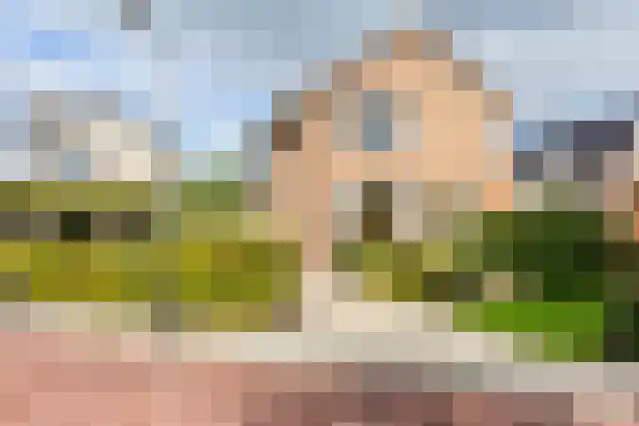 Westeinde 137 Moordrecht thumbnail 49
