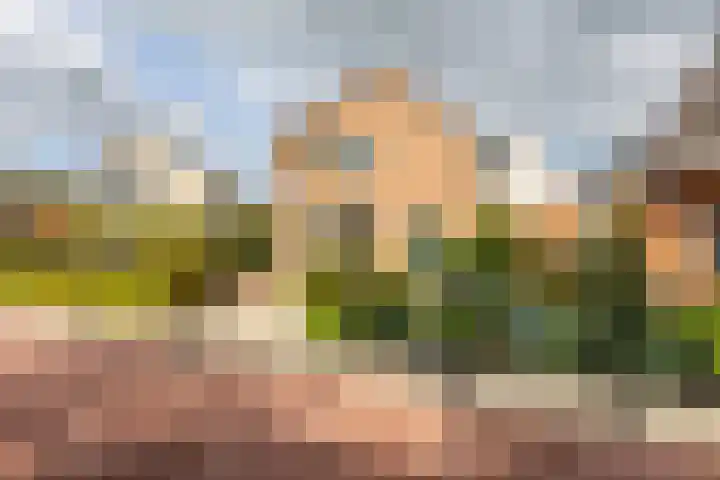 Westeinde 137 Moordrecht thumbnail 50