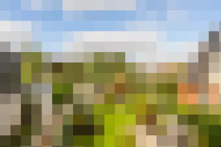 Westeinde 137 Moordrecht thumbnail 52