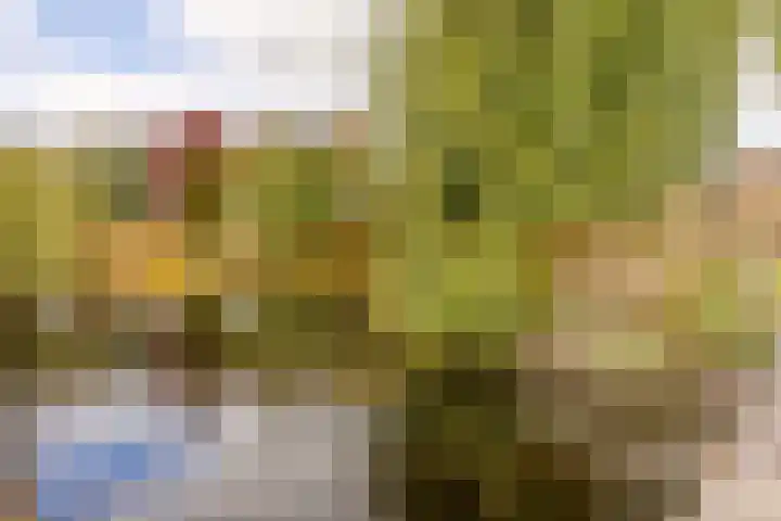Westeinde 137 Moordrecht thumbnail 8
