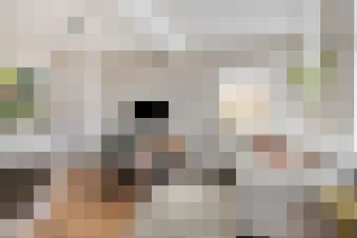 Westeinde 2 Kloetinge thumbnail 13