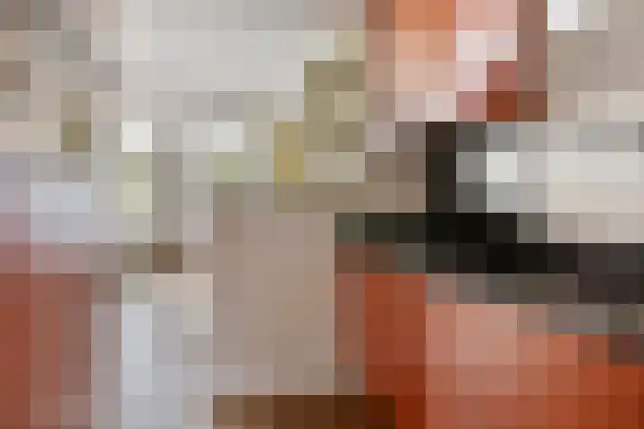 Westeinde 2 Kloetinge thumbnail 16