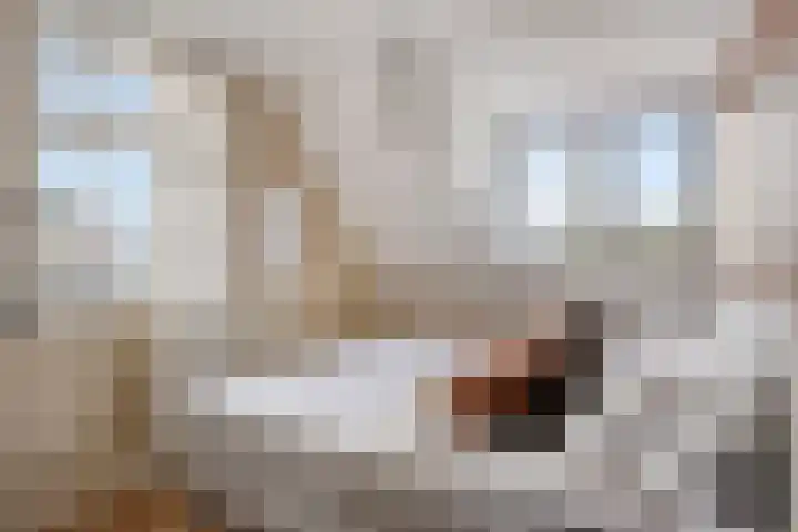 Westeinde 2 Kloetinge thumbnail 23