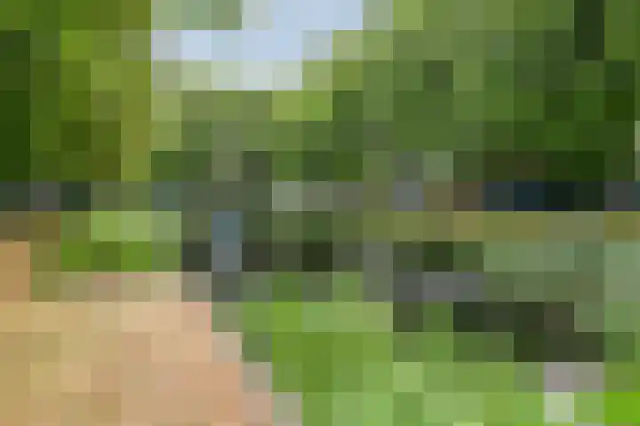 Westeinde 2 Kloetinge thumbnail 41