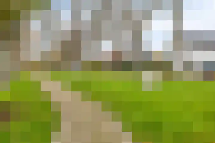 Westeinde 2 Kloetinge thumbnail 42