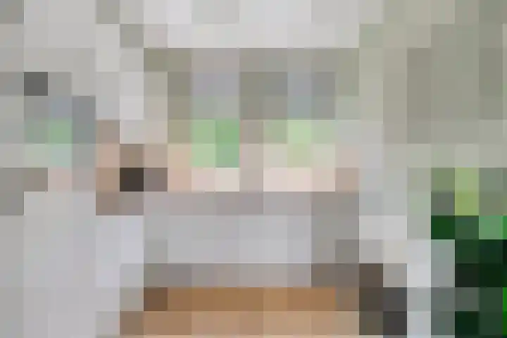 Westeinde 20 Scherpenzeel thumbnail 13