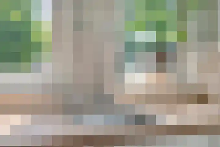 Westeinde 20 Scherpenzeel thumbnail 15