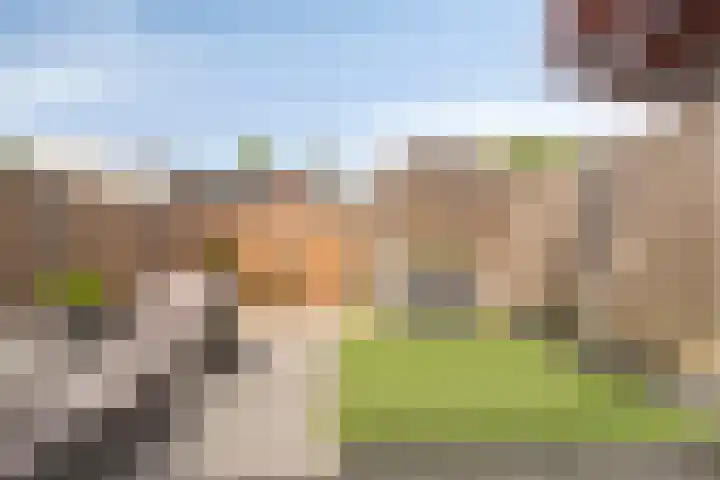 Westeinde 20 Scherpenzeel thumbnail 26