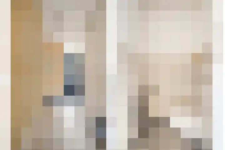 Westeinde 20 Scherpenzeel thumbnail 6