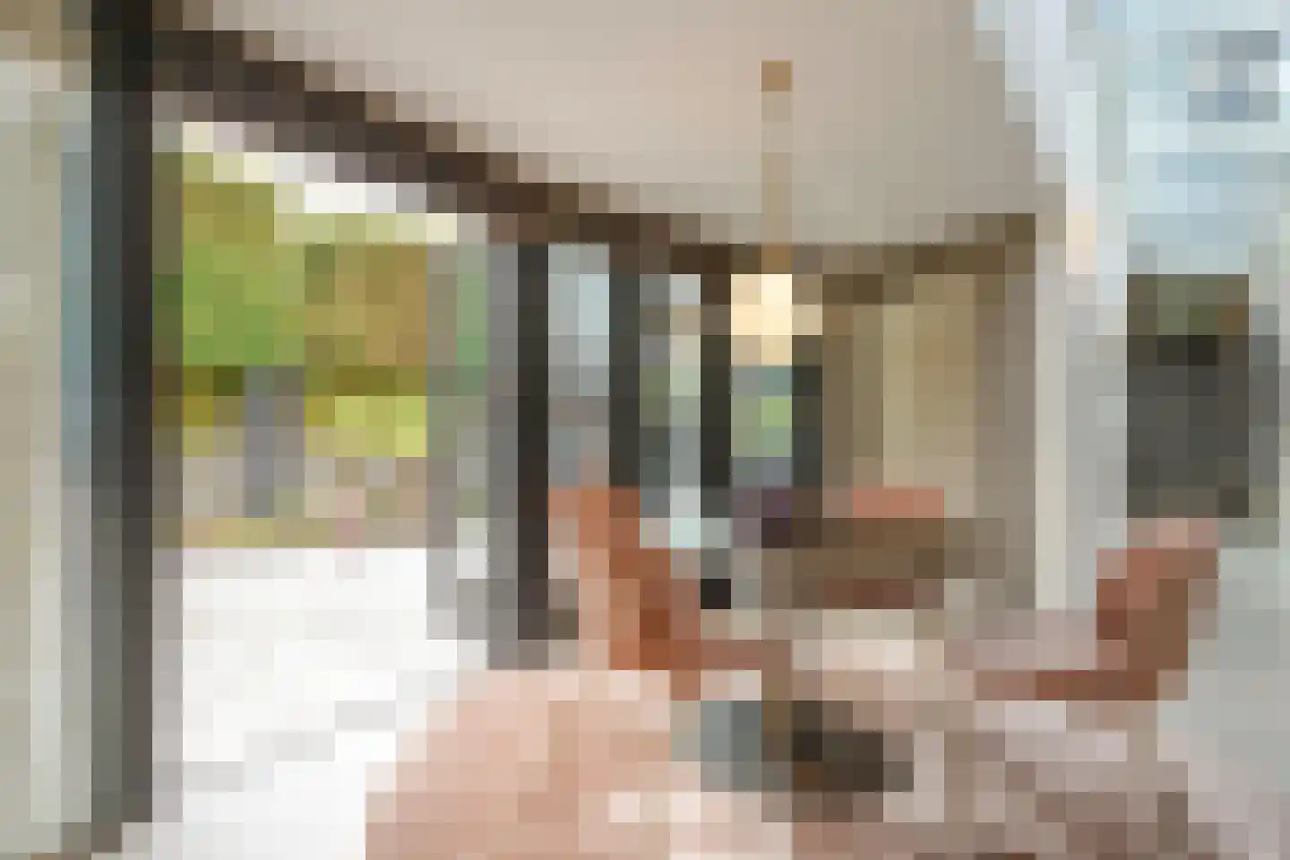 Westeinde 206 a Wapserveen