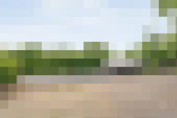 Westeinde 206 a Wapserveen thumbnail 10