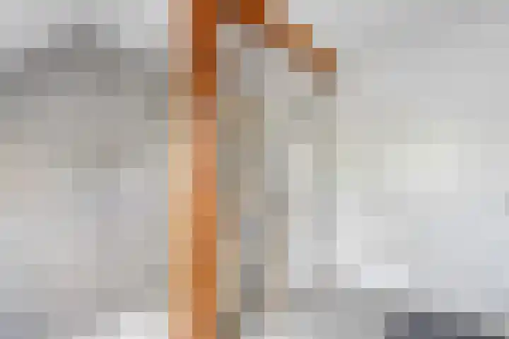 Westeinde 206 a Wapserveen thumbnail 33