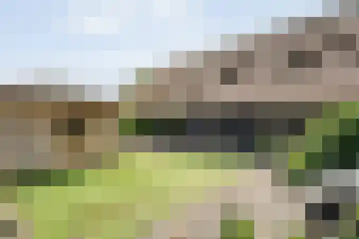 Westeinde 206 a Wapserveen thumbnail 56