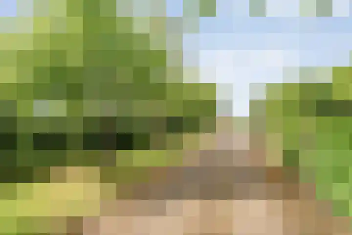 Westeinde 206 a Wapserveen thumbnail 59