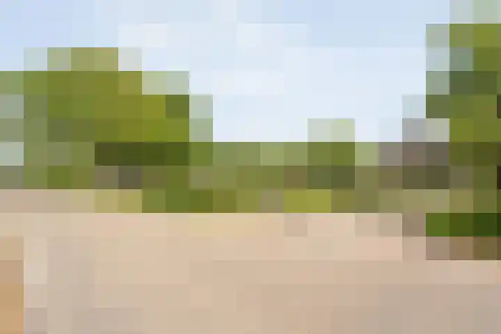 Westeinde 206 a Wapserveen thumbnail 60