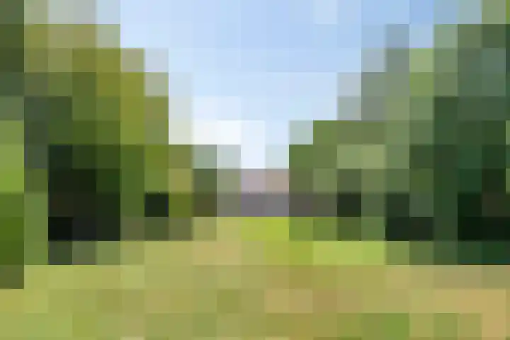 Westeinde 24 Berkenwoude thumbnail 33