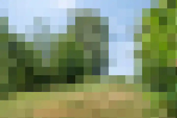 Westeinde 24 Berkenwoude thumbnail 35