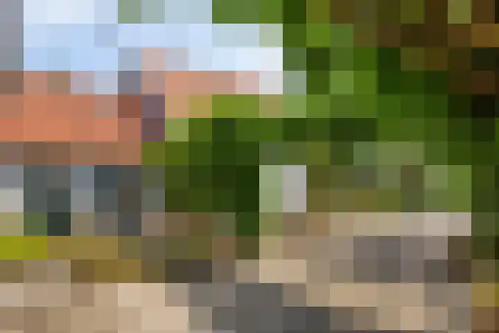 Westeinde 24 Berkenwoude thumbnail 5