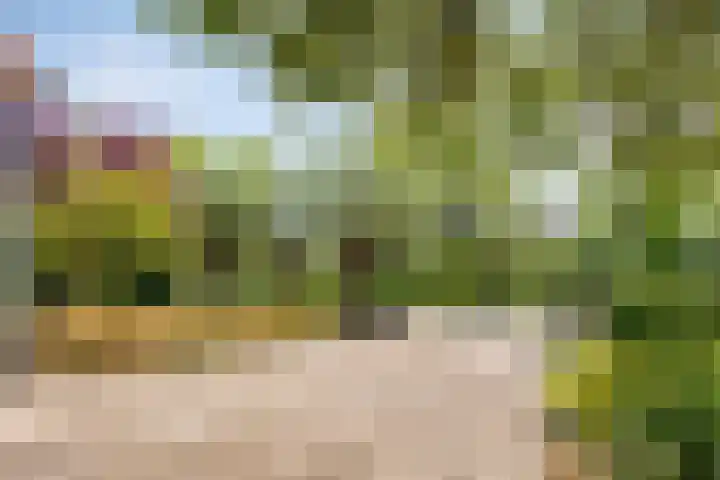 Westeinde 24 Berkenwoude thumbnail 6