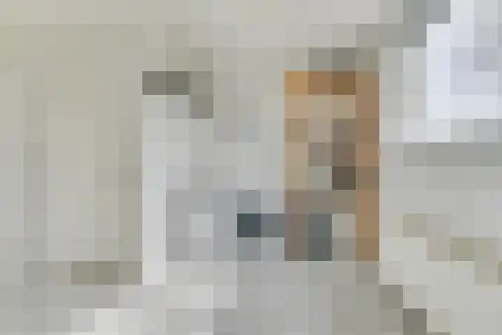 Westeinde 245 Berkhout thumbnail 19