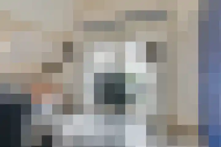 Westeinde 245 Berkhout thumbnail 30