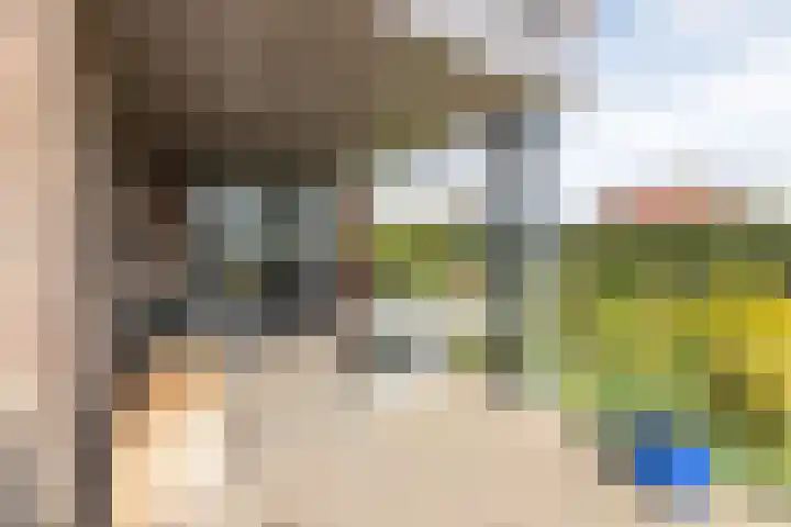 Westeinde 245 Berkhout thumbnail 41