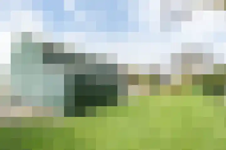 Westeinde 245 Berkhout thumbnail 47