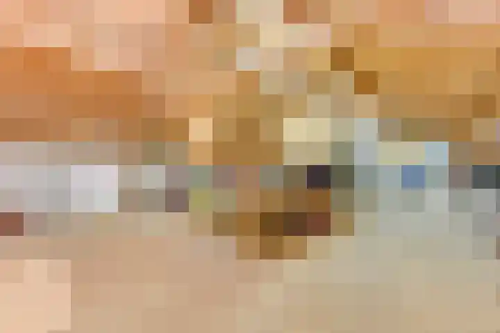 Westeinde 245 Berkhout thumbnail 54