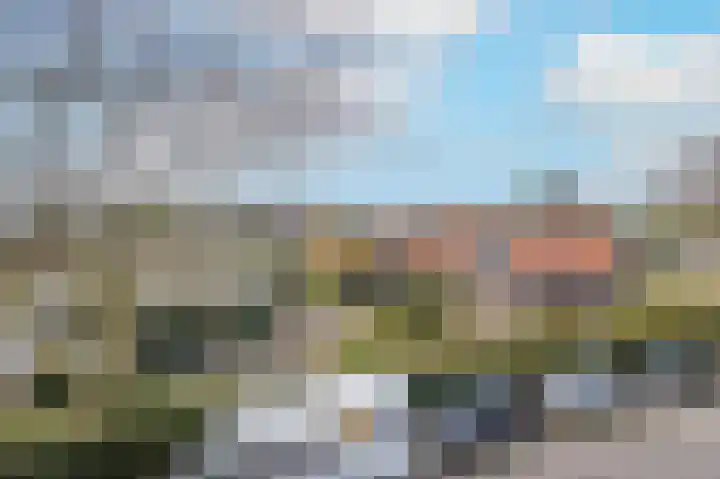 Westeinde 245 Berkhout thumbnail 56